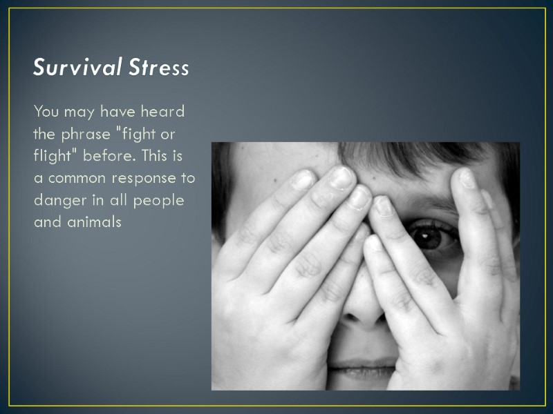 Survival Stress  You may have heard the phrase 